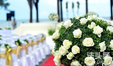 河南一新郎被綁樹上遭滅火器噴射,婚鬧行為可以怎么處罰？