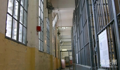 银行女职员诈骗近亿元花6千万打赏触犯哪些法律？